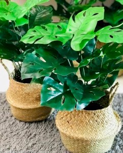 Artificial Premium Plant 1